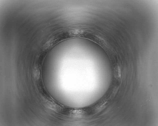X0000053020324200508051233