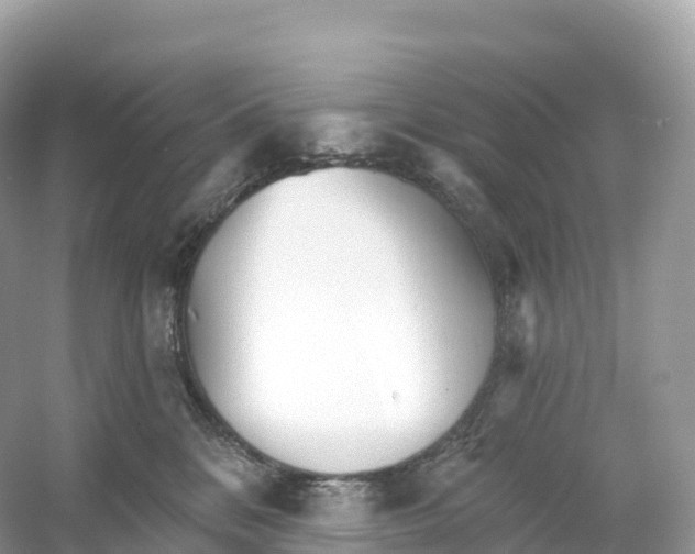 X0000053020328200508051233