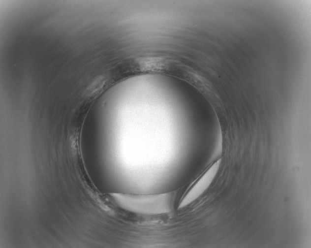 X0000053020329200508051233