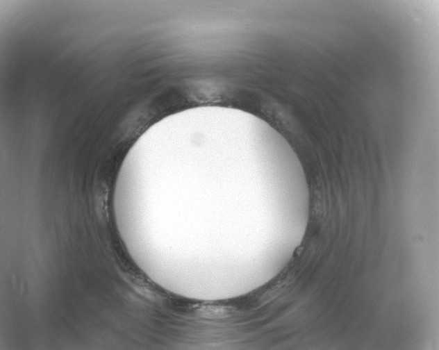 X0000053020332200508051233