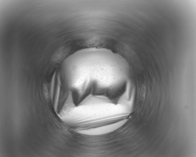 X0000053020335200508051233