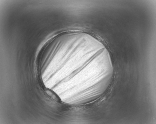 X0000053020343200508051232
