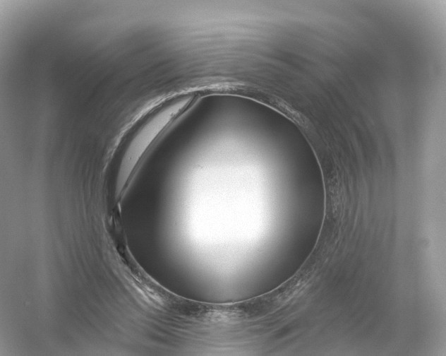 X0000053020350200508051232