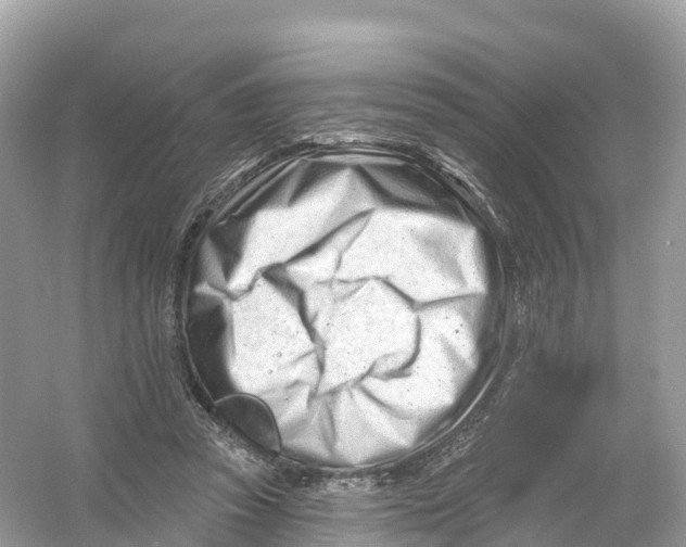 X0000053020353200508051233