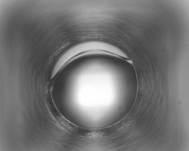 X0000053020356200508051233