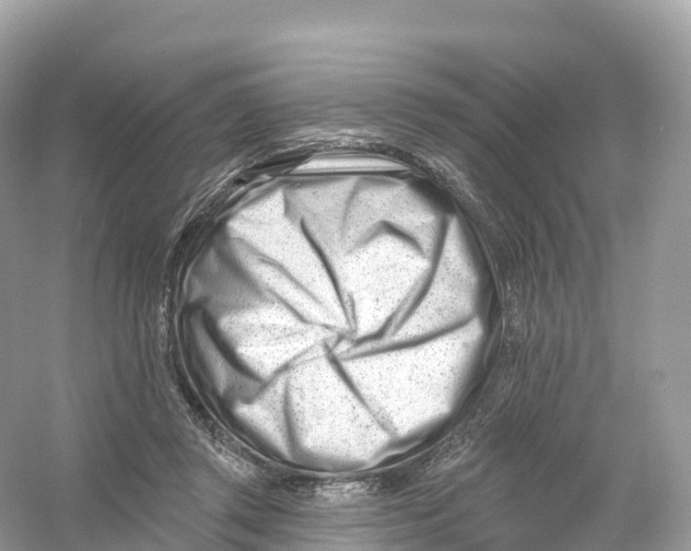 X0000053020357200508051233