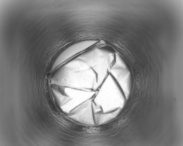 X0000053020359200508051233
