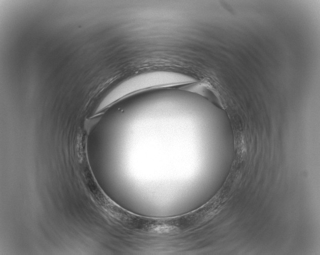 X0000053020360200508051233