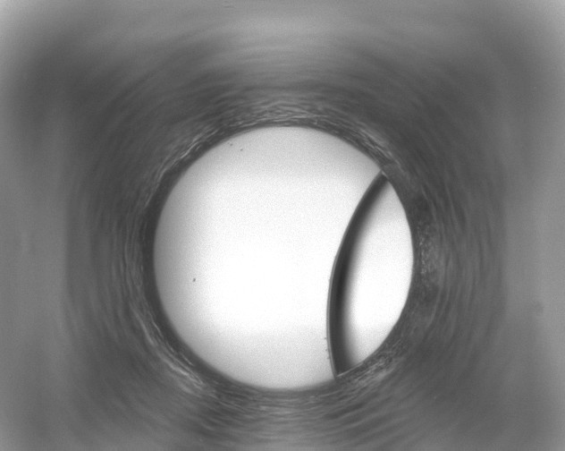 X0000053020362200508051233