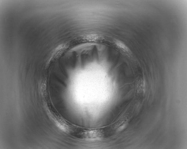 X0000053020365200508051233
