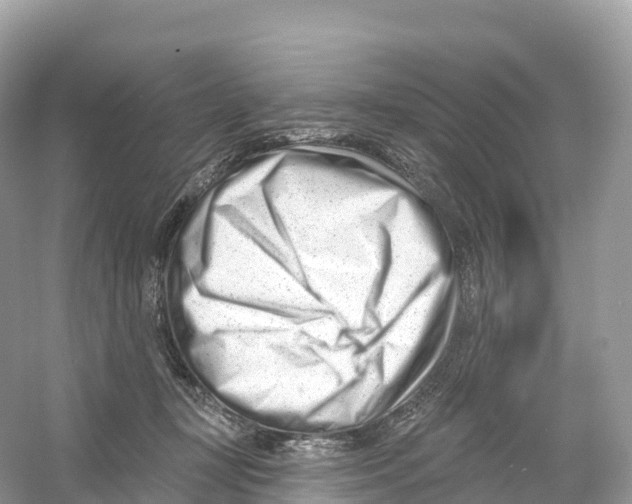 X0000053020367200508051233