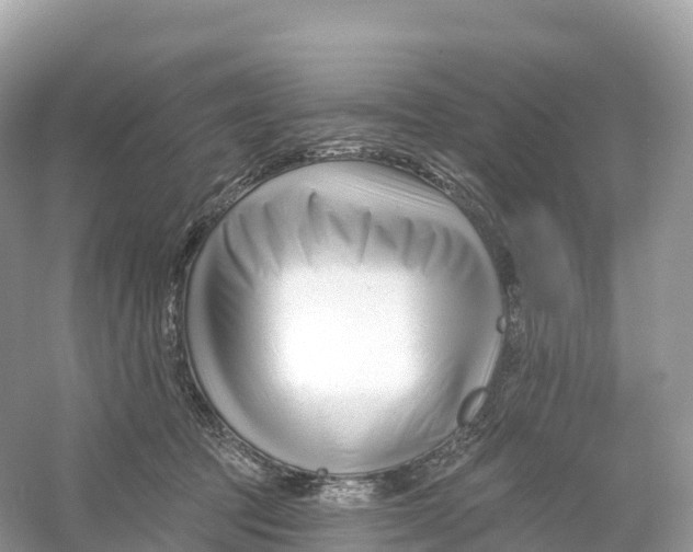 X0000053020369200508051233