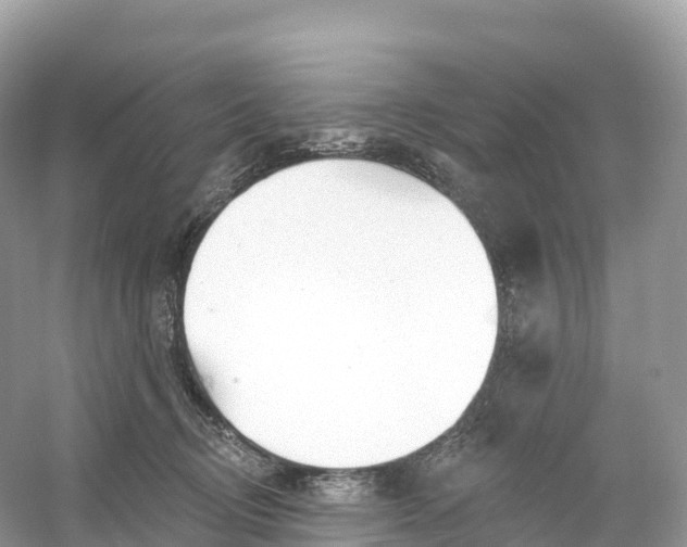 X0000053020370200508051233