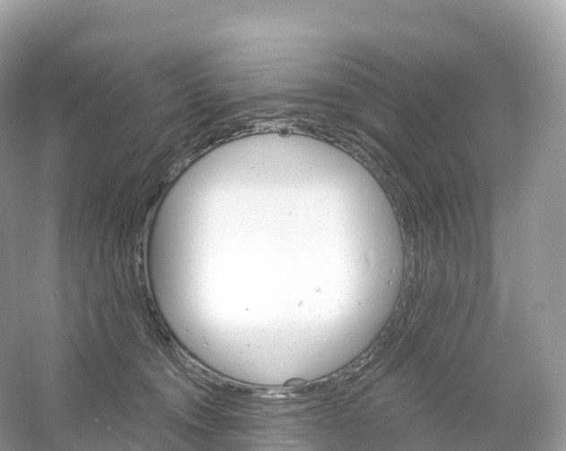 X0000053020372200508051233