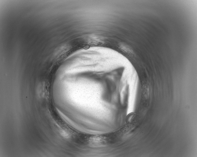 X0000053020375200508051233