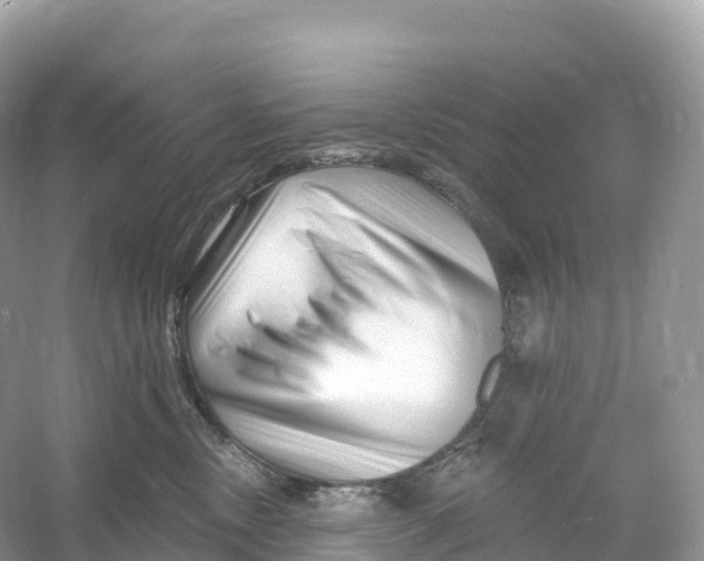X0000053020378200508051233