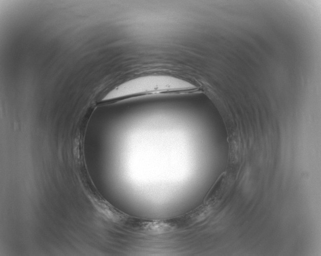 X0000053020379200508051233