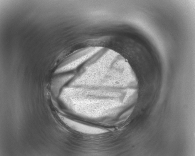 X0000053020383200508051233