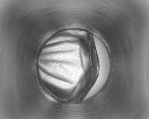 X0000053020389200508051232