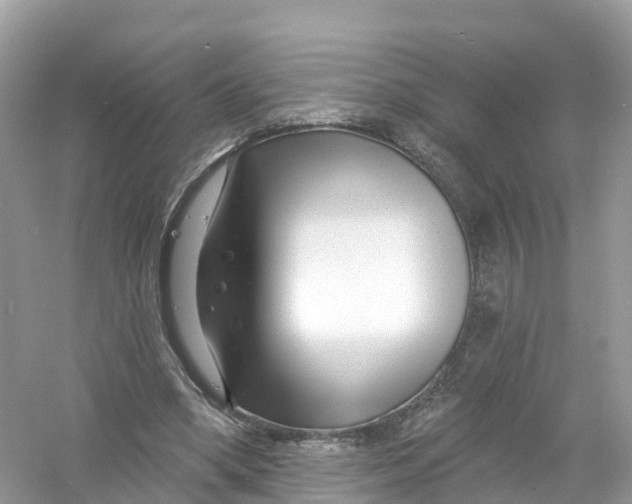 X0000053020394200508051232