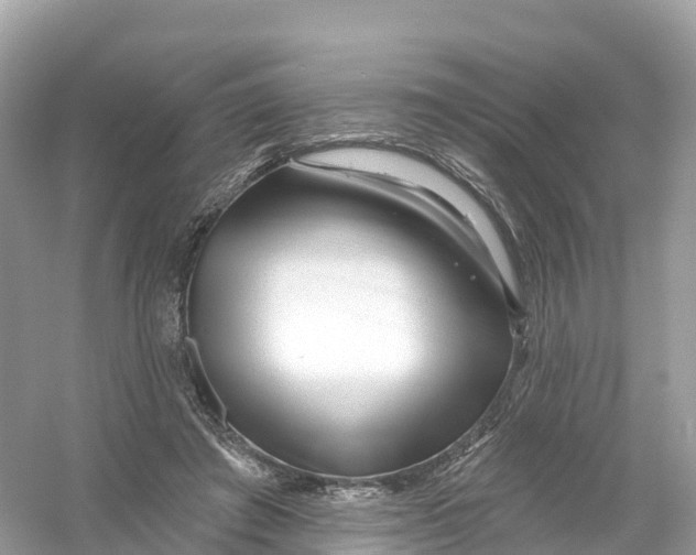 X0000053020401200508051232