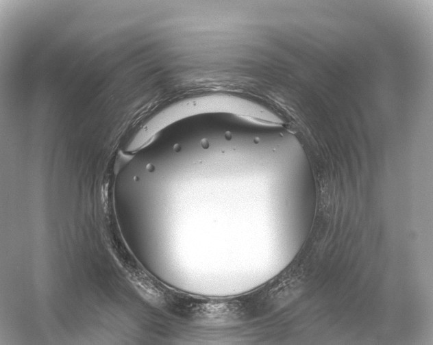 X0000053020406200508051232