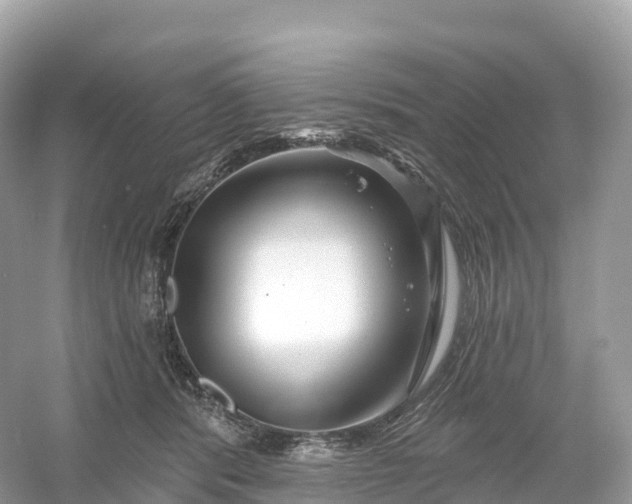 X0000053020416200508051232