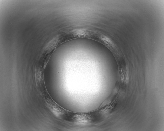 X0000053020417200508051232