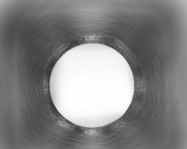 X0000053020419200508051232