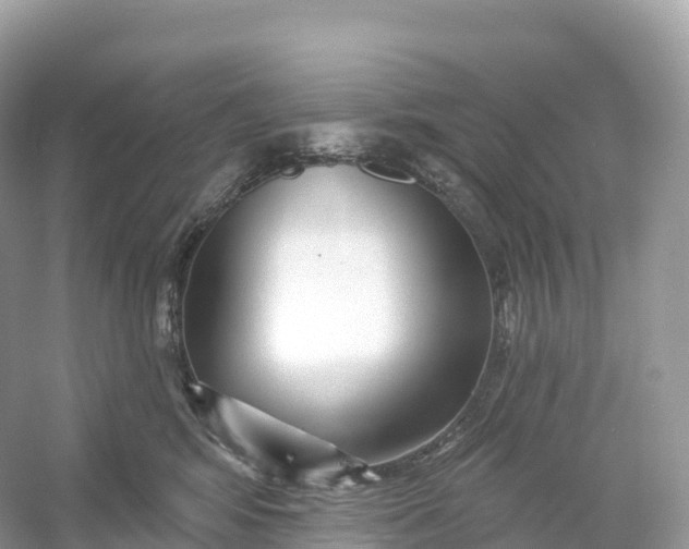 X0000053020424200508051232