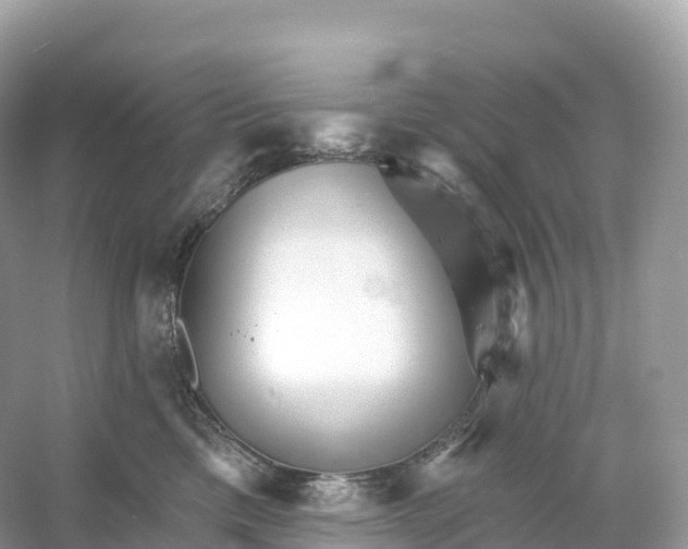 X0000053020425200508051232
