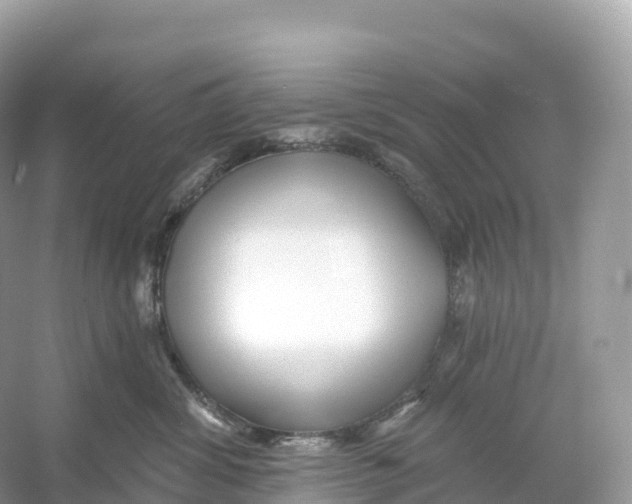 X0000053020428200508051231