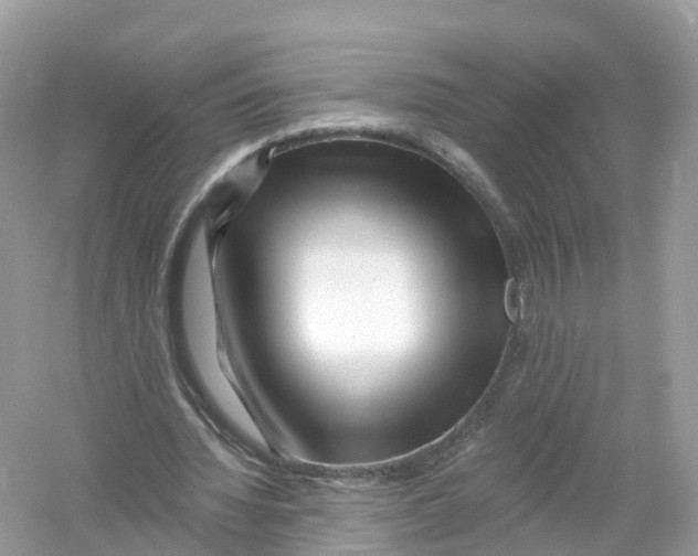 X0000053020436200508051231