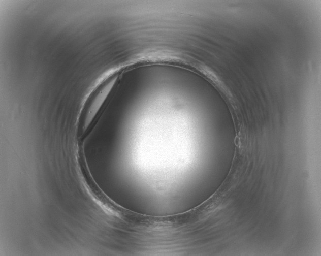 X0000053020438200508051231