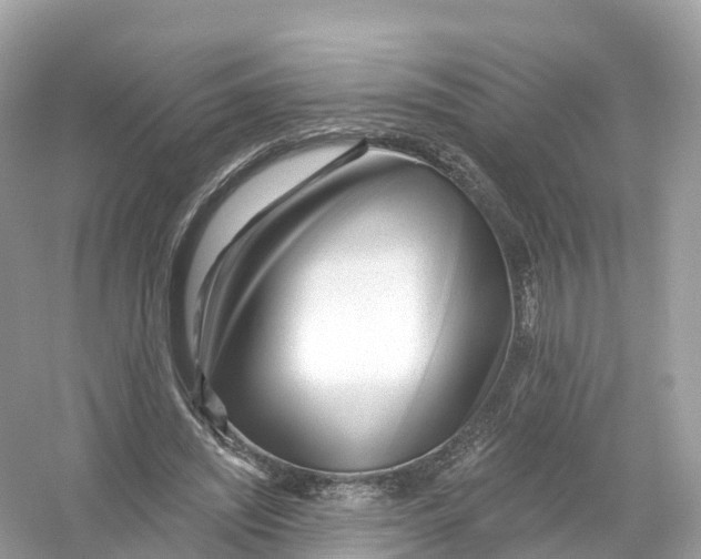 X0000053020444200508051231