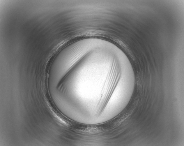 X0000053020445200508051231