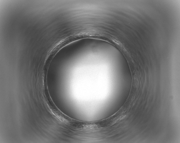 X0000053020446200508051231
