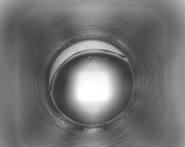 X0000053020452200508051231