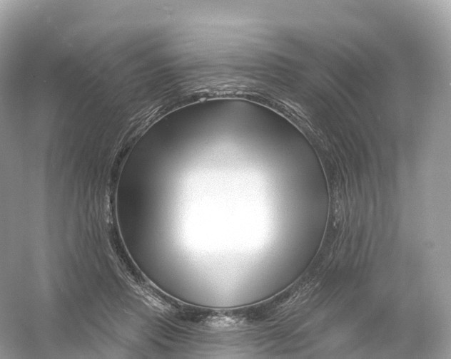 X0000053020453200508051231