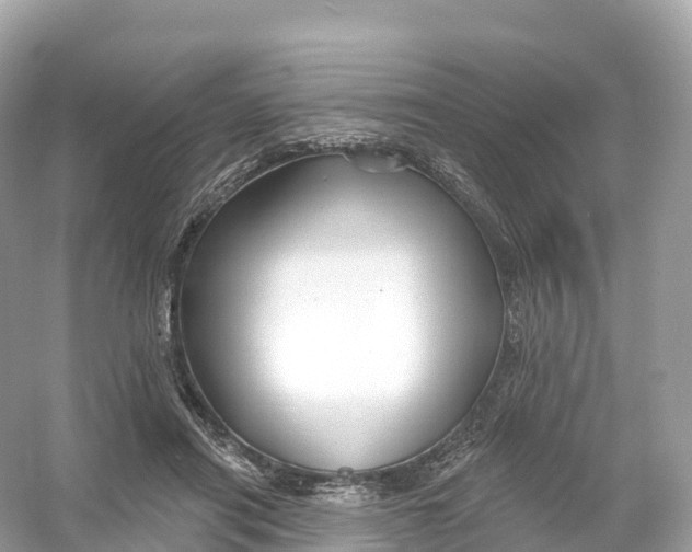 X0000053020454200508051231