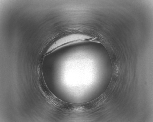 X0000053020456200508051231