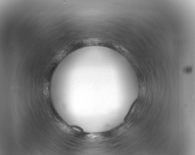 X0000053020477200508051231
