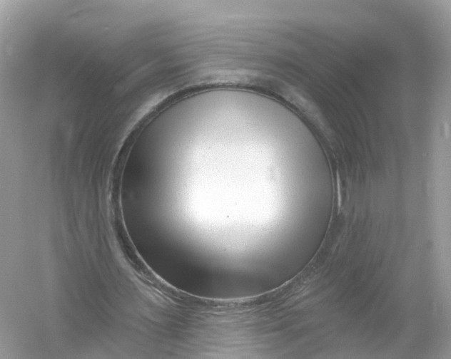 X0000053020483200508051231