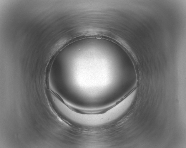 X0000053020485200508051231