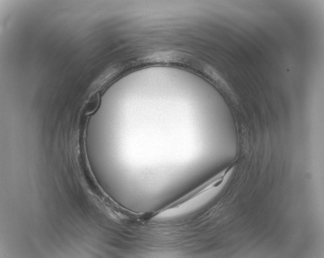 X0000053020486200508051230