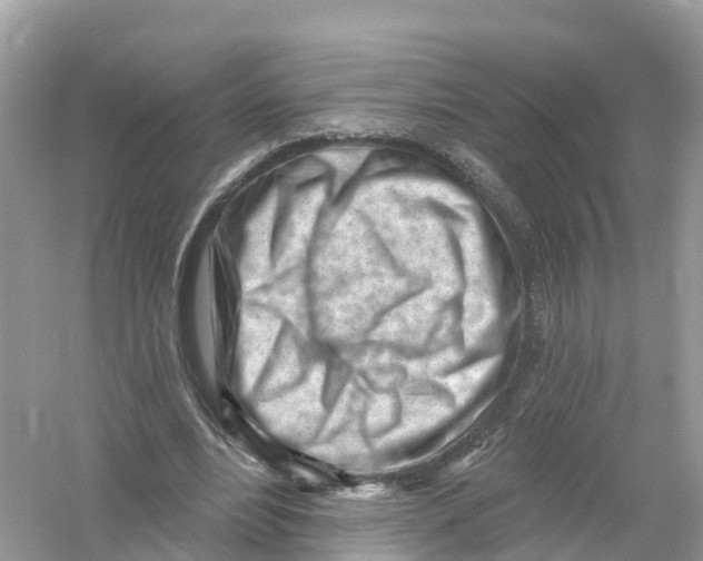X0000053020488200508051230