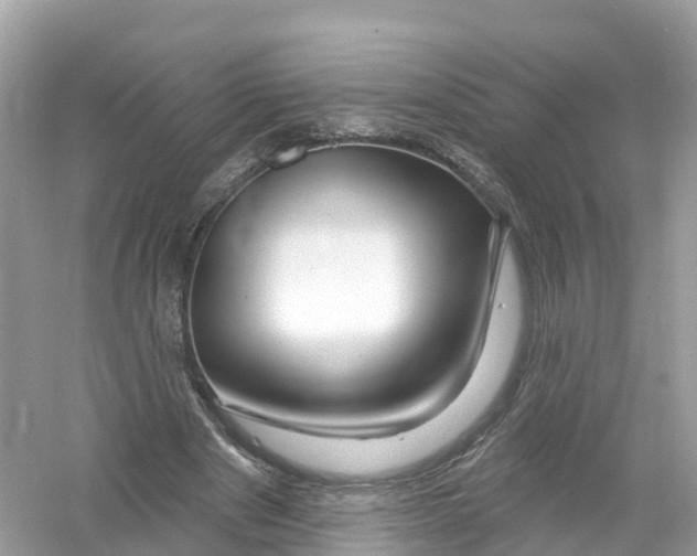 X0000053020489200508051230