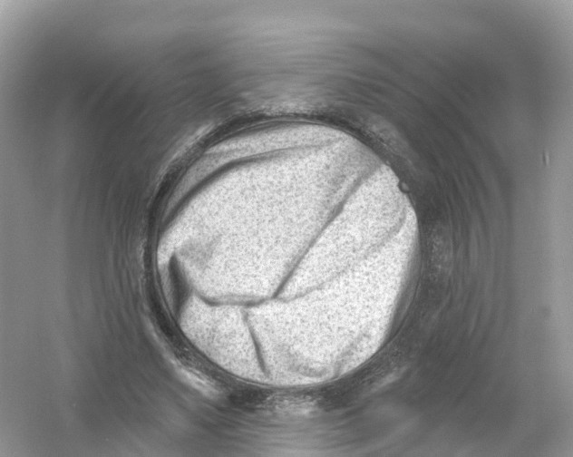 X0000053020491200508051230