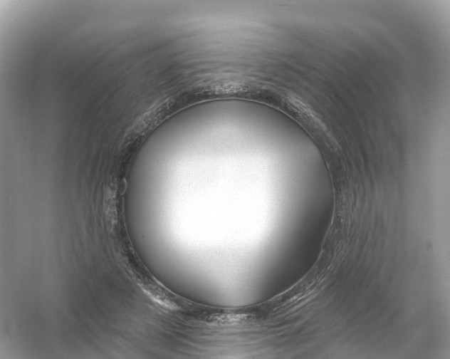 X0000053020497200508051230