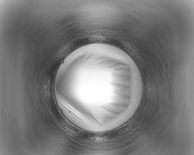 X0000053020498200508051230